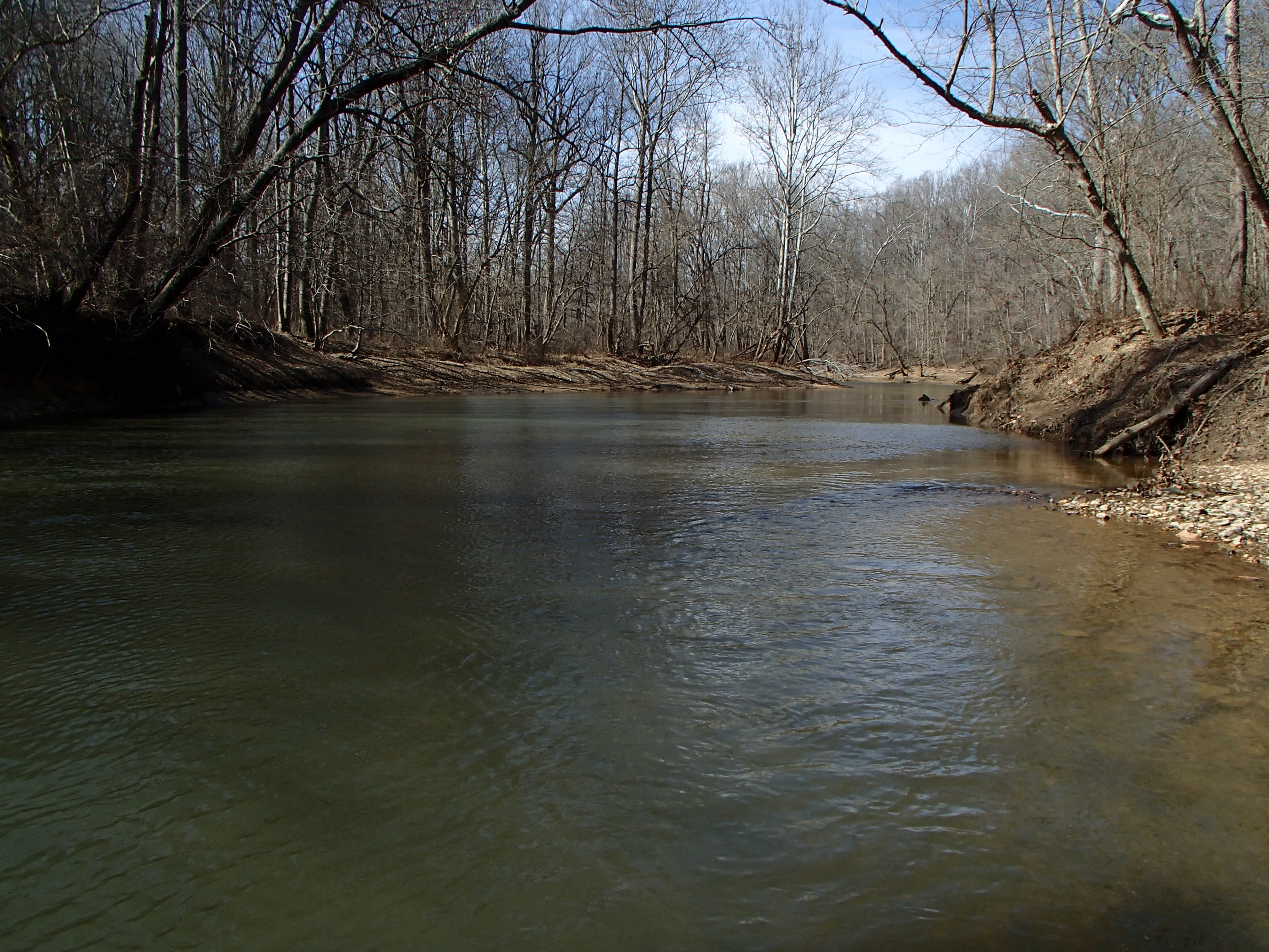 Field photo showing stream conditions at site RKGR-405-R-2016_midpoint looking upstream